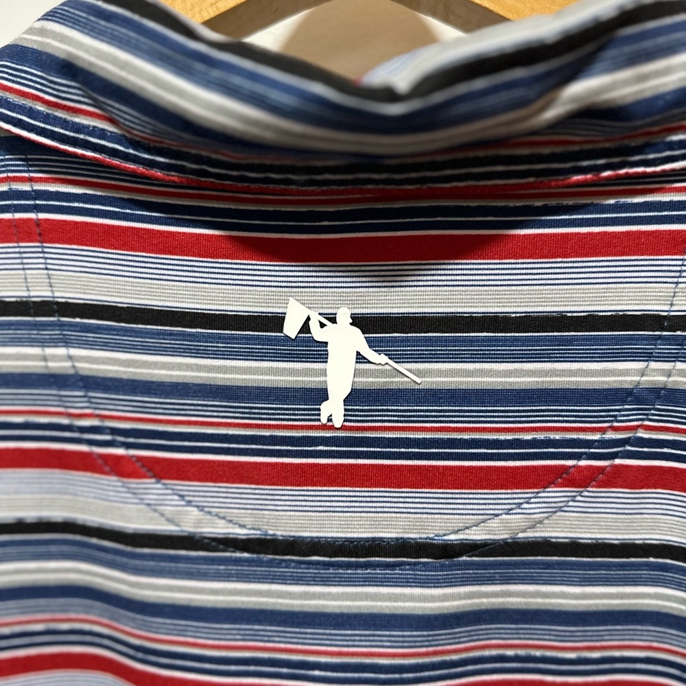 AndersonOrd Polo - Picture 6 of 6